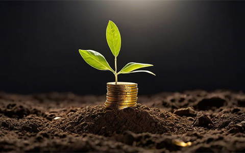 2025还有哪些下款的网贷，罗列5个征信巨花,居然下款了